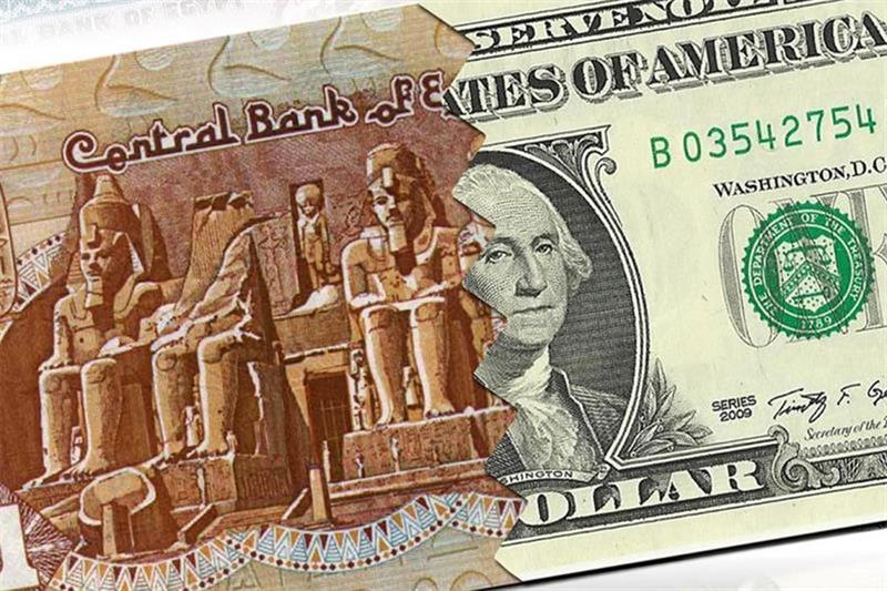 لماذا يواصل الدولار التراجع؟ خبير يوضح