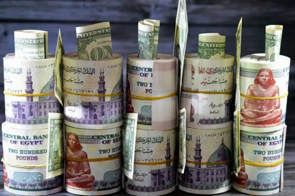 ما هي الأموال الساخنة؟